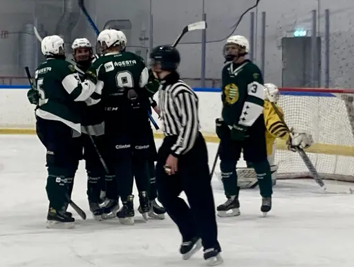 Stark insats och stabil seger mot Wings.