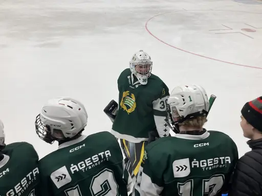 Tre pinnar mot Wings efter kämpainsats!