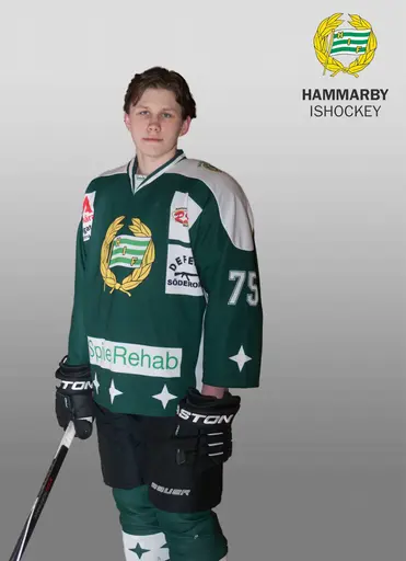 Foto: Henric Wauge (Bamsingarna / FotoWauge)