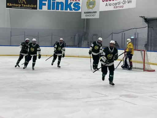 Tre välförtjänta pinnar mot Wings.
