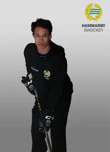 Foto: Henric Wauge (Bamsingarna / FotoWauge)