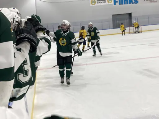 Tre välförtjänta pinnar mot Wings.