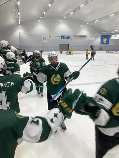 Stark insats och stabil seger mot Wings.
