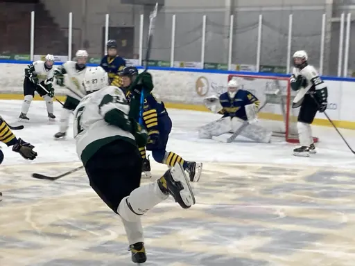 Seger mot Wings!