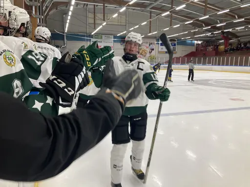 Seger mot Wings!