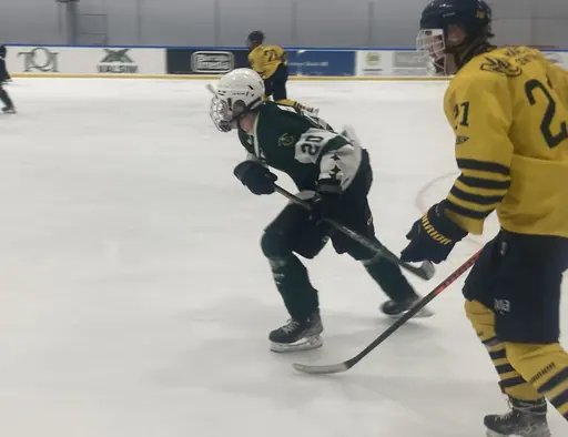 Stark insats och stabil seger mot Wings.
