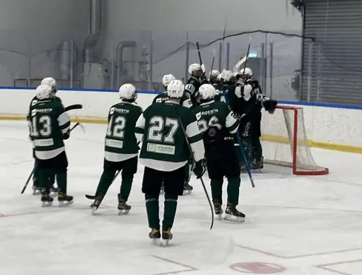 Tre pinnar mot Wings efter kämpainsats!