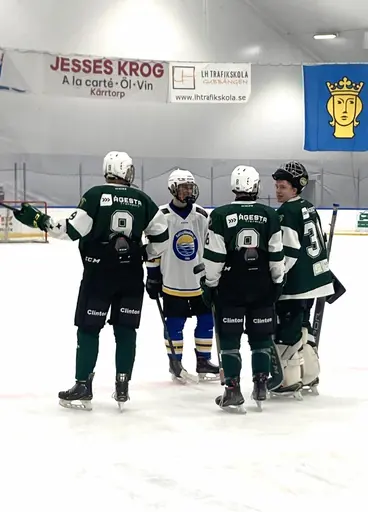 Seger i sista Allettan-matchen