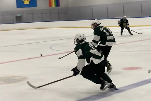 Tre pinnar mot Wings efter kämpainsats!
