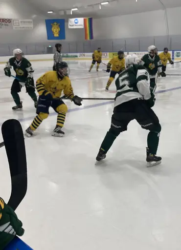 Stark insats och stabil seger mot Wings.