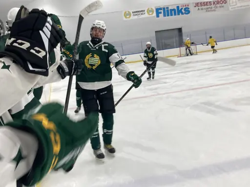 Tre välförtjänta pinnar mot Wings.