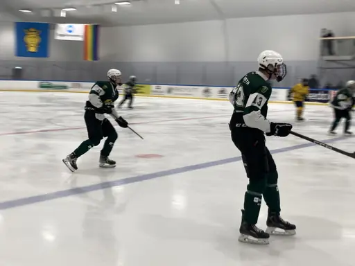 Stark insats och stabil seger mot Wings.