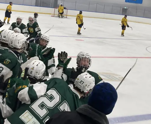 Tre pinnar mot Wings efter kämpainsats!