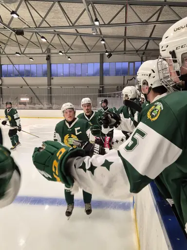 Bilderna är från den första (seger)matchen mot Värmdö. Foto: Ettan