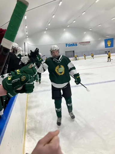 Tre pinnar mot Wings efter kämpainsats!