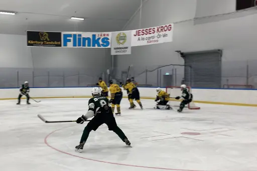 Tre pinnar mot Wings efter kämpainsats!