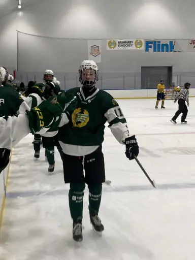 Stark insats och stabil seger mot Wings.