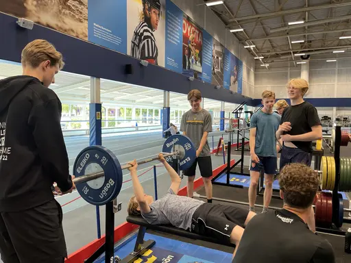 Grön Bajentisha funkade bäst på snabbhetstesterna 