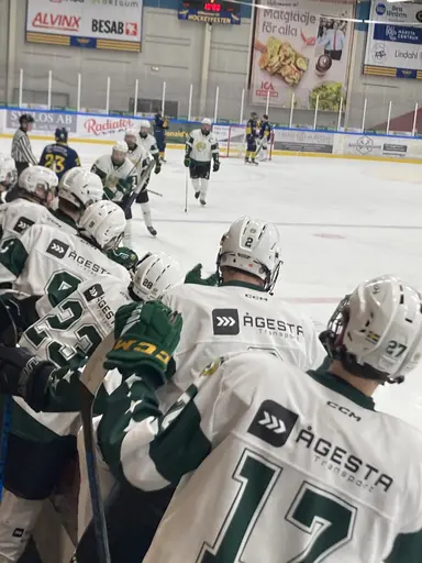 Seger mot Wings!