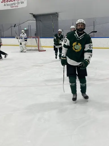 Seger i sista Allettan-matchen