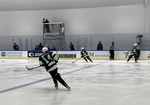 Stark insats och stabil seger mot Wings.