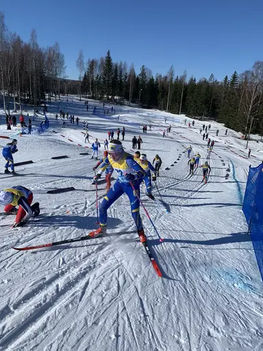 Bilder från cupen