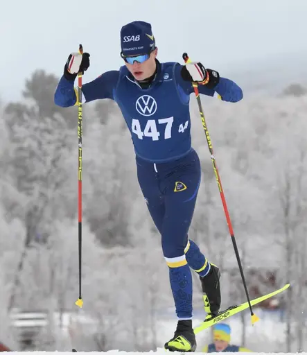 Domnarvets Juniorer säsongen 2022-2023