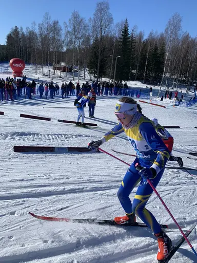 Bilder från cupen