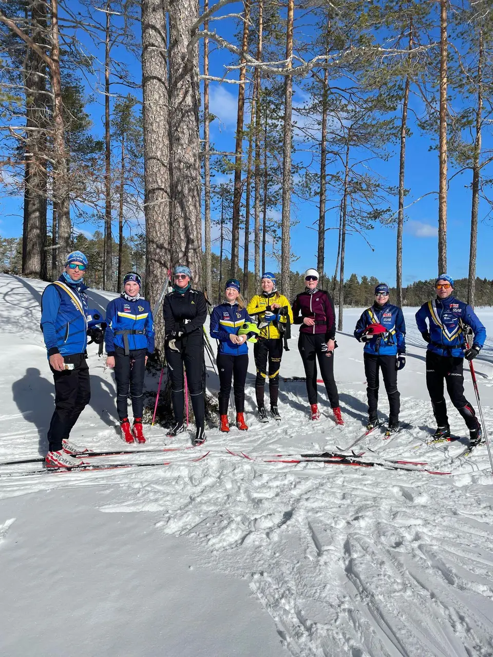 Tur efter vasaloppsspåret