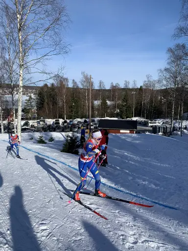 Bilder från cupen