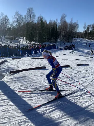 Bilder från cupen