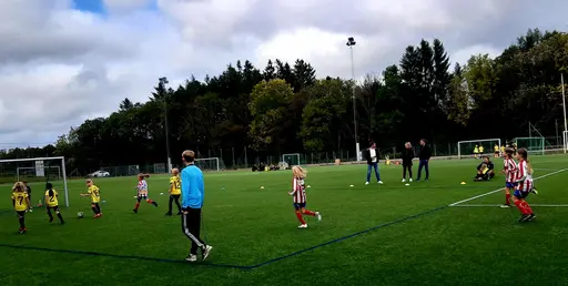 Bild 1-7: Bortamatch mot Kode IF. Bild 8: Bortamatch mot Kareby IS.