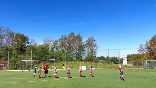 Bild 1-12: Kode-YIS. Bild 13-17: Kareby-YIS