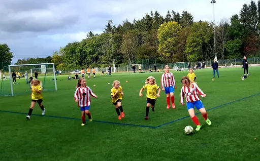 Bild 1-7: Bortamatch mot Kode IF. Bild 8: Bortamatch mot Kareby IS.