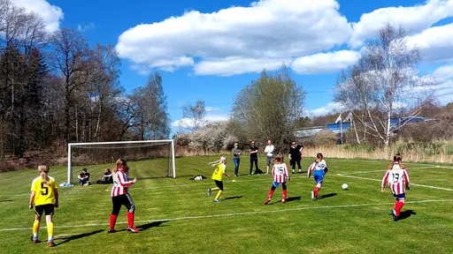 Bild 1-2: YIS-Kongahälla Bild 3-9: YIS-Älvängen Bild 10-14: YIS-Hermansby