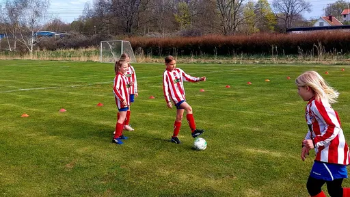 Bild 1-2: YIS-Kongahälla Bild 3-9: YIS-Älvängen Bild 10-14: YIS-Hermansby