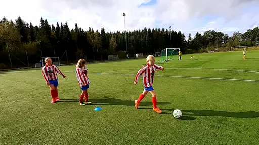 Bild 1-7: Bortamatch mot Kode IF. Bild 8: Bortamatch mot Kareby IS.