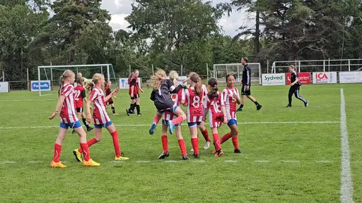Ulvacupen i Skövde, juni 2024