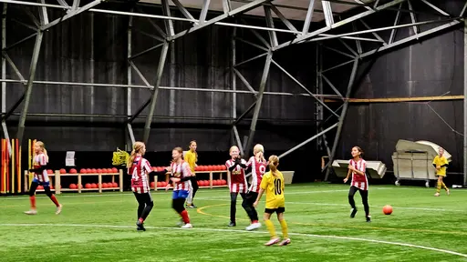 Minicup i Bilabhallen