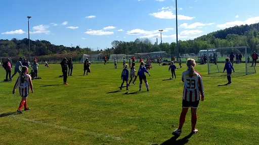Bild 1-5, 8, 11, 14-15, 17-18, 21-22: YIS-Nödinge. Bild 6-7, 9-10, 12-13, 16, 19-20, 23: YIS-Romelanda.