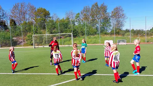 Bild 1-12: Kode-YIS. Bild 13-17: Kareby-YIS