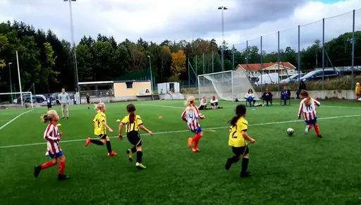 Bild 1-7: Bortamatch mot Kode IF. Bild 8: Bortamatch mot Kareby IS.