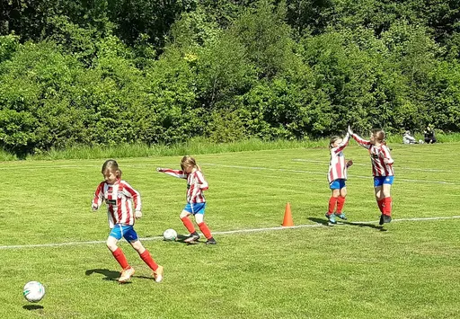 Hemmamöte med Finlandia. Samma helg spelades även match mot Kode, dock utan bilder.