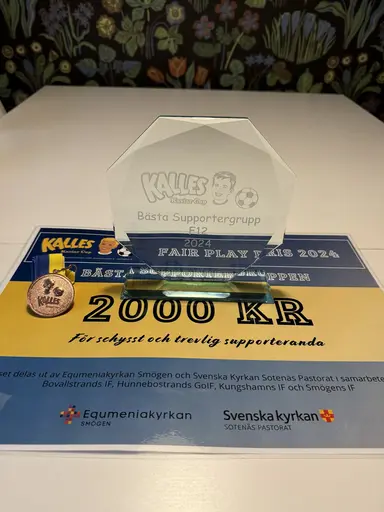 Lagfoto och pris som bästa supportergrupp