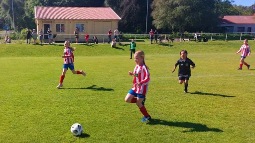 Bild 1-5: Kongahälla-YIS. Bild 6-27: Surte-YIS.