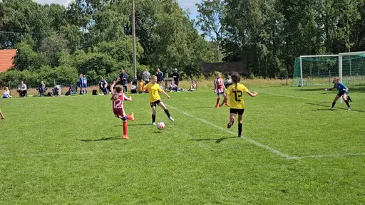 Ulvacupen i Skövde, juni 2024