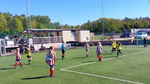 Bild 1-12: Kode-YIS. Bild 13-17: Kareby-YIS
