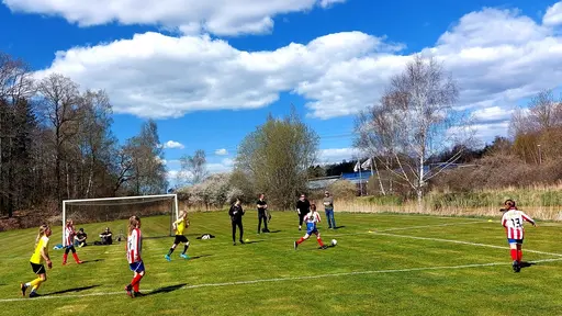 Bild 1-2: YIS-Kongahälla Bild 3-9: YIS-Älvängen Bild 10-14: YIS-Hermansby