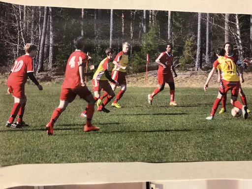 Träningsläger på hemmaplan under dåvarande tränaren Daniel Holm. Serieseger i division fem 2015. Seger i Nybro open.
