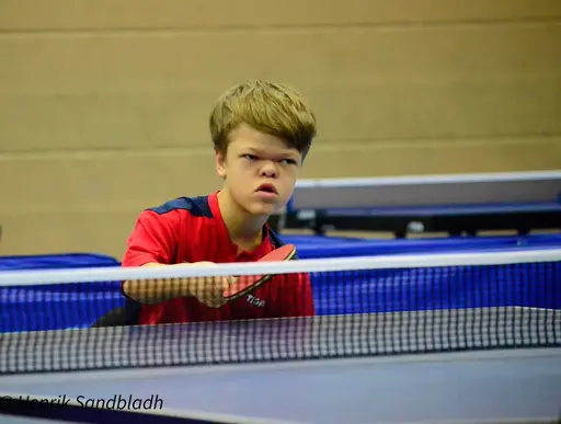 Bilder tagna av IFAH Parasportförening, Parasport Sverige och Henrik Sandbladh.